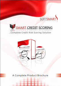 Smart Credit Scoring